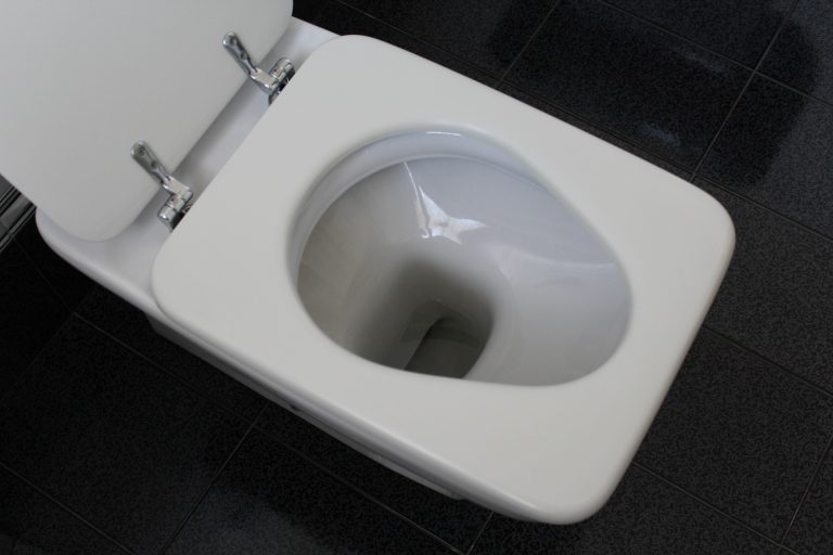 10 Ways to Unclog Your Toilet