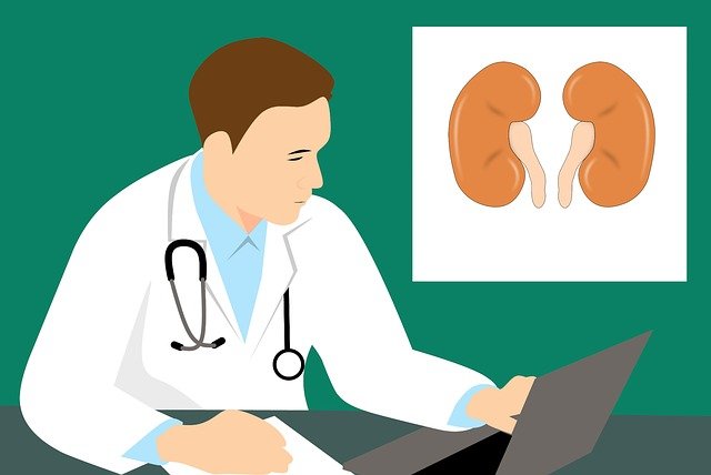10 Solutions to Common Kidney Problems
