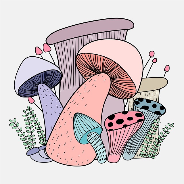 Mushroom Doodles 