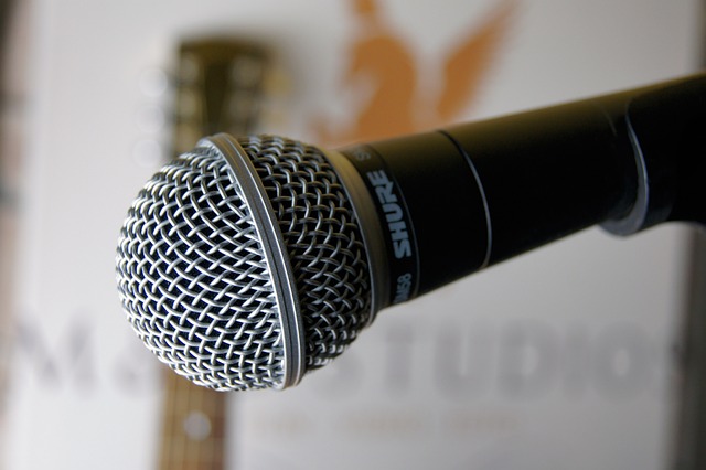 The Top 5 Best Alternatives to the Shure sm58 alternative