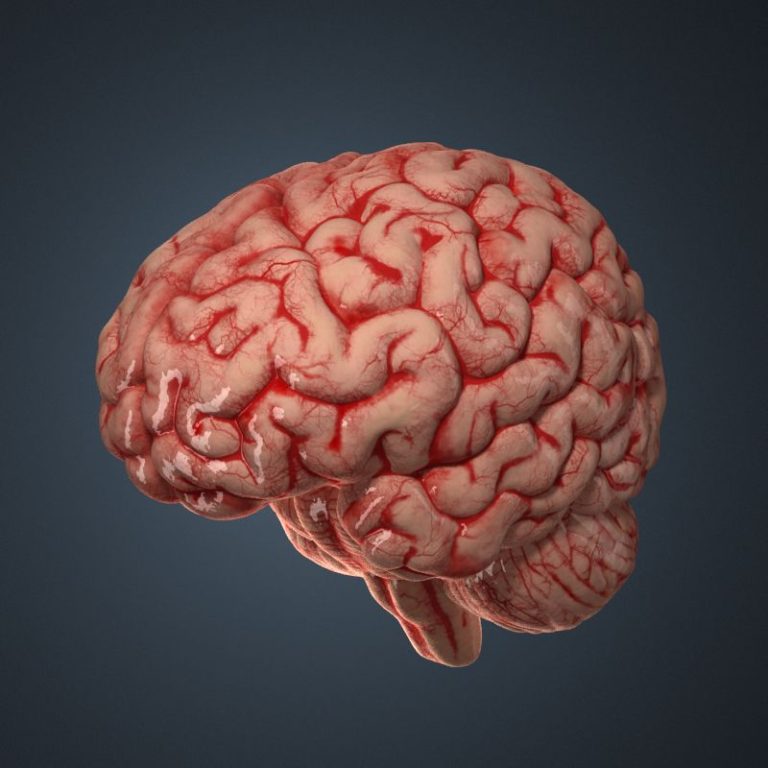 5 Surprising Facts About Your Brain You Didn’t Know